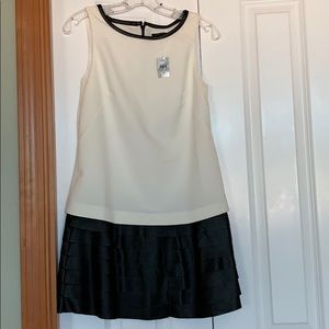 Ann Taylor brand new dress